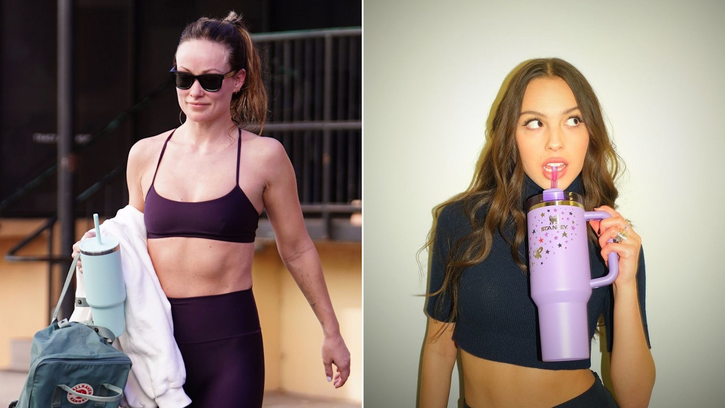 Stanley Cups Black Friday